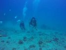 Hawaii Scuba divng 41