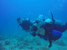 Hawaii Scuba divng 42