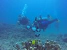 Hawaii Scuba divng 45