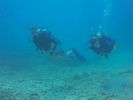 Hawaii Scuba divng 49