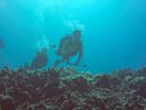 Hawaii Scuba divng 04