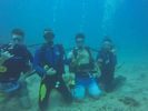 Hawaii Scuba divng 51