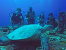 Hawaii Scuba divng 66