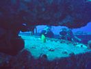 Hawaii Scuba divng 72