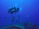 Hawaii Scuba divng 77