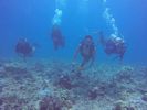 Hawaii Scuba divng 07