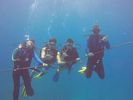 Hawaii Scuba divng 81