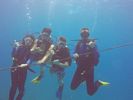 Hawaii Scuba divng 82