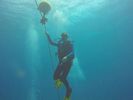 Hawaii Scuba divng 83