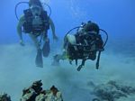 Hawaii Scuba divng 11