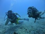 Hawaii Scuba divng 14