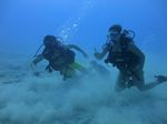 Hawaii Scuba divng 16