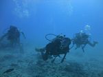 Hawaii Scuba divng 17