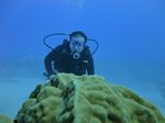 Hawaii Scuba divng 21