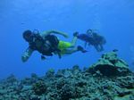 Hawaii Scuba divng 22