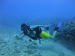 Hawaii Scuba divng 23