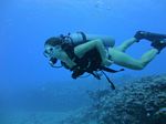 Hawaii Scuba divng 24