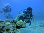 Hawaii Scuba divng 25