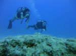 Hawaii Scuba divng 26