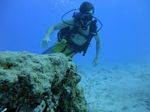 Hawaii Scuba divng 27