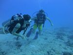 Hawaii Scuba divng 28