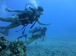 Hawaii Scuba divng 29