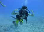 Hawaii Scuba divng 31