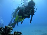 Hawaii Scuba divng 34