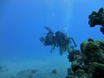 Hawaii Scuba divng 35