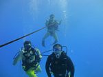 Hawaii Scuba divng 09