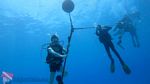 Hawaii scuba 12