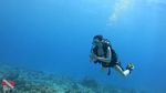 Hawaii scuba 20