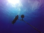 Hawaii Scuba divng 20