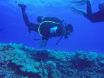 Hawaii Scuba divng 26