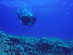 Hawaii Scuba divng 27