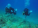 Hawaii Scuba divng 28