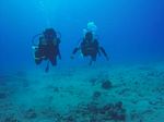 Hawaii Scuba divng 02