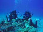 Hawaii Scuba divng 30