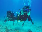 Hawaii Scuba divng 31