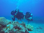 Hawaii Scuba divng 32