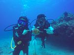 Hawaii Scuba divng 34