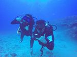 Hawaii Scuba divng 35