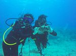 Hawaii Scuba divng 42