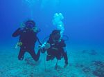 Hawaii Scuba divng 43