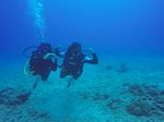 Hawaii Scuba divng 44