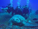 Hawaii Scuba divng 17