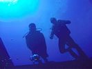 Hawaii Scuba divng 23