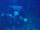 Hawaii Scuba divng 24