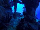 Hawaii Scuba divng 27