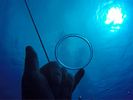 Hawaii Scuba divng 32